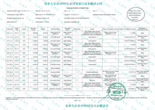 將圖片載入圖庫檢視器 加拿大 安省ATIO 银行流水翻译