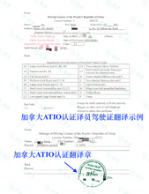 將圖片載入圖庫檢視器 速譯加拿大安省ATIO認證駕照+駕駛認證翻譯+ 郵寄