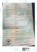 將圖片載入圖庫檢視器 墨尔本本地翻译 | NAATI认证 | 可自取