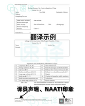 將圖片載入圖庫檢視器 墨尔本本地翻译 | NAATI认证 | 可自取