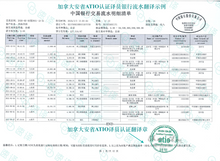 將圖片載入圖庫檢視器 加拿大 安省ATIO 银行流水翻译