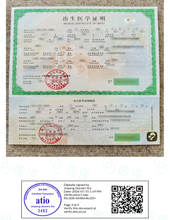 将图片加载到图库查看器,加拿大安省 ATIO 中国出生证明翻译