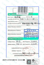 將圖片載入圖庫檢視器 小孩疫苗接种澳洲NAATI认证译员翻译
